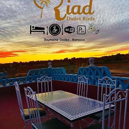 Riad Dades Birds Boumalne Eksteriør billede
