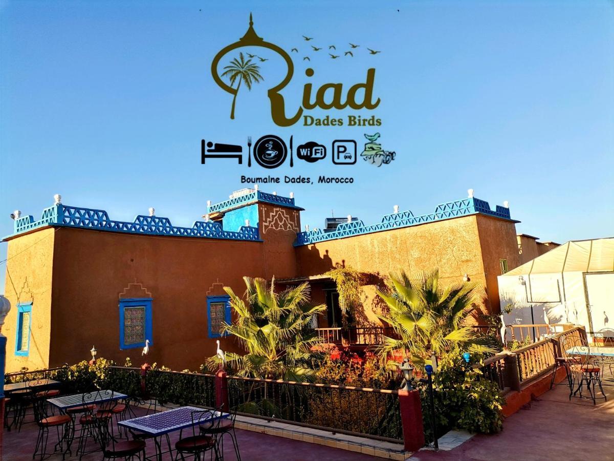 Riad Dades Birds Boumalne Eksteriør billede